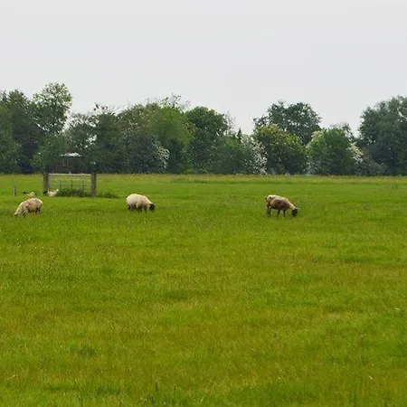 De-smukke-2 Tetenbull